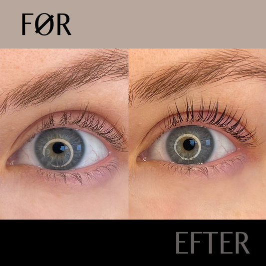 Lash Lift kurs (ONLINE)