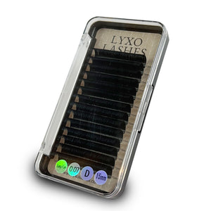 2. SORTERING Easy-fan Volume Lash Extensions