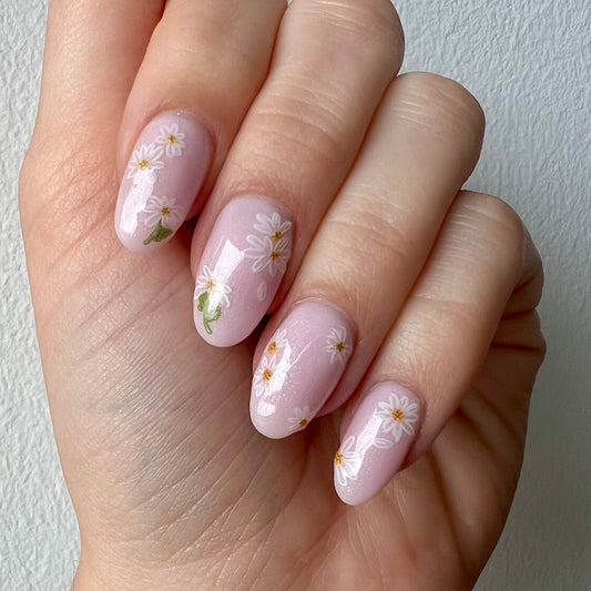 Prästkragar Nagelklistermärken