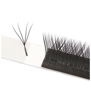 Double-YY 4D ögonfransförlängning