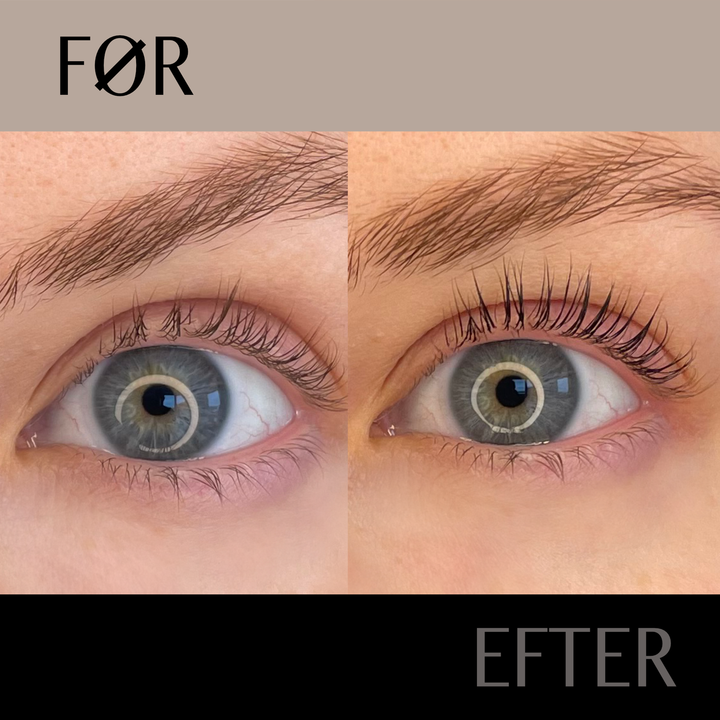 Lash Lift kurs (ONLINE)
